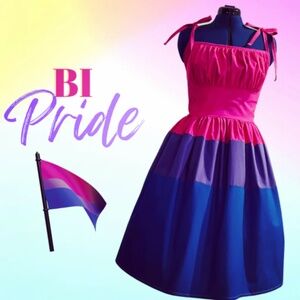 NWOT Ains & Elke Bi Pride Quinn Dress Size 3XL (16) Color Pink Purple Blue